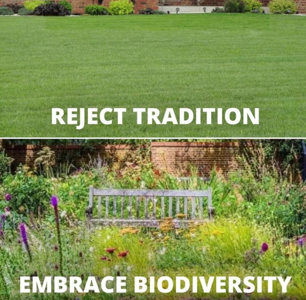 This meme is a humorous commentary on the contrast between traditional and modern approaches to lawn care. The top image shows a perfectly manicured lawn, while the bottom image shows a wild, overgrown garden with a bench. The text "Reject Tradition" and "Embrace Biodiversity" suggests that the latter approach is more desirable, implying that a more natural and diverse environment is better than a traditional, manicured lawn.